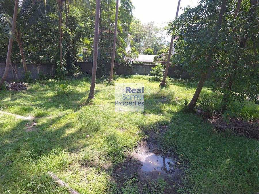 2,588 Sqm of Flat Land, Lipa Noi